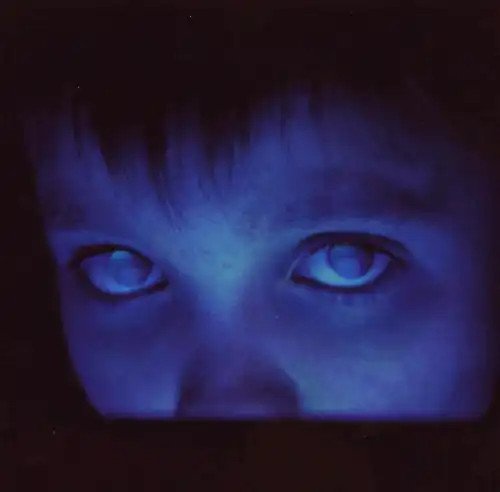 Porcupine tree fear of - tree,