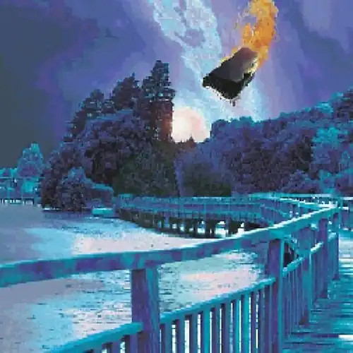 Porcupine tree stars - tree,