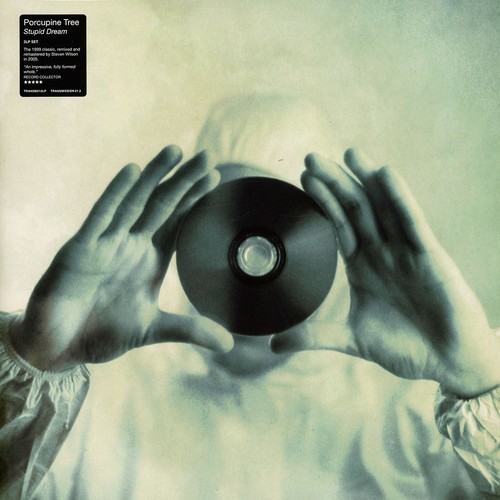 Porcupine tree stupid - porcupine,