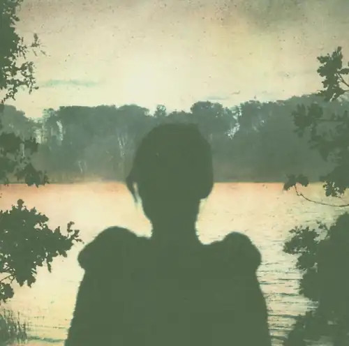 Porcupine tree deadwing - porcupine,