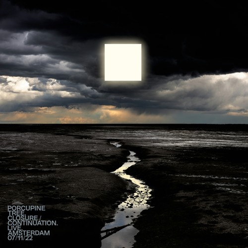 Porcupine tree - tree, /
