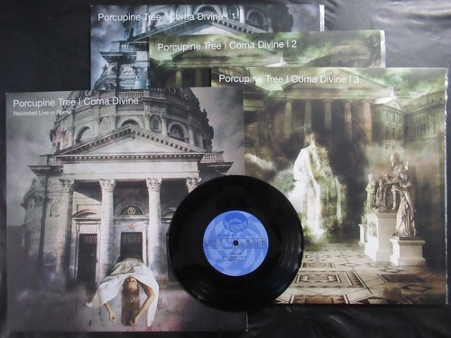 Porcupine tree coma - tree,