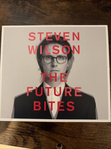 Steven wilson the - the, future