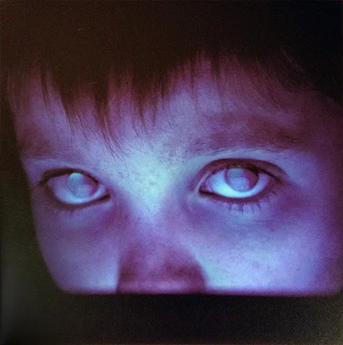 Porcupine tree fear blank - porcupine,