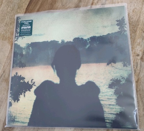 Porcupine tree steven - porcupine, (steven