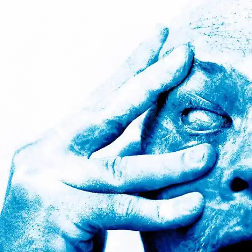 Porcupine tree in absentia - tree,