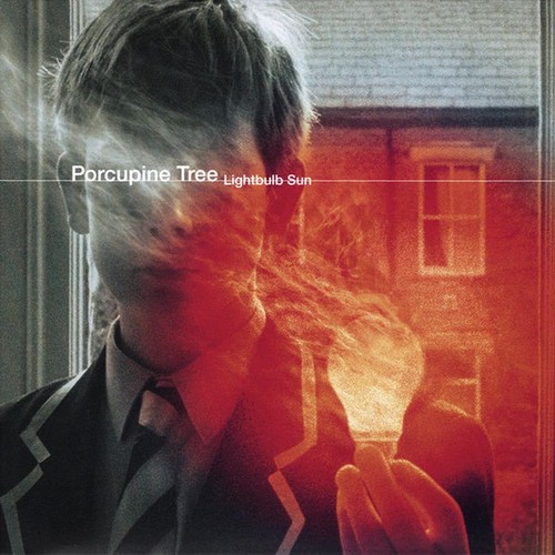 Porcupine tree lightbulb - lightbulb, sun