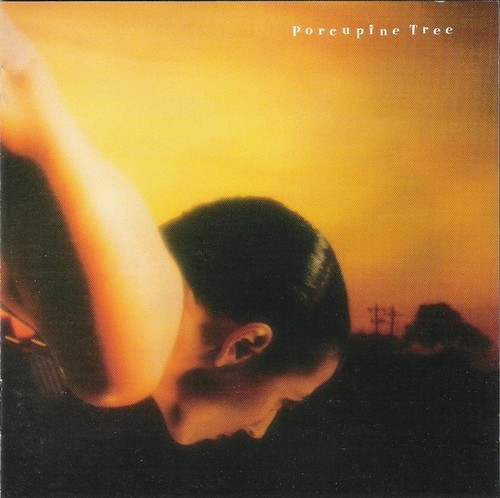 Porcupine tree on the - tree,