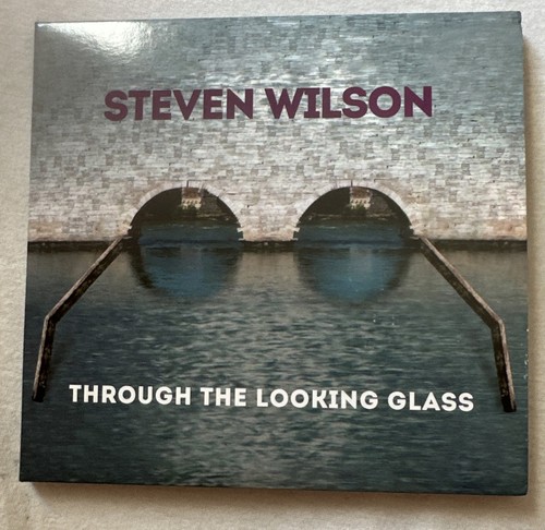 Steven wilson through the - through,