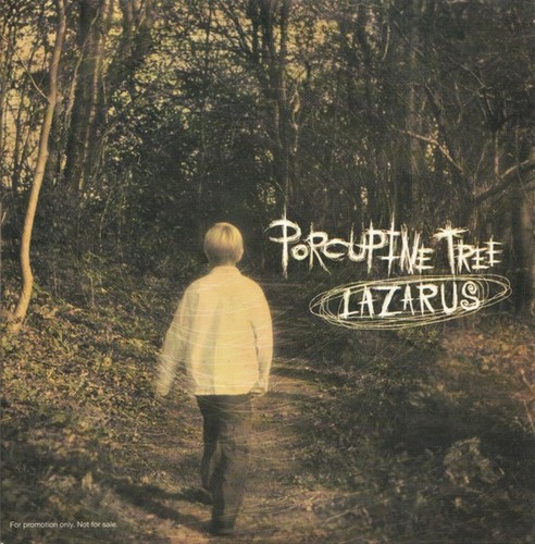 Porcupine tree lazarus - tree,