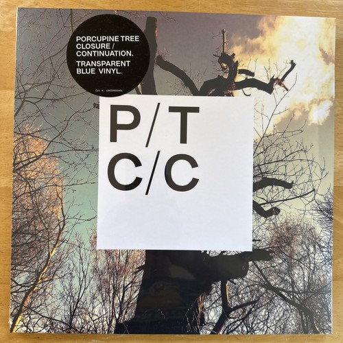 Porcupine tree - tree,
