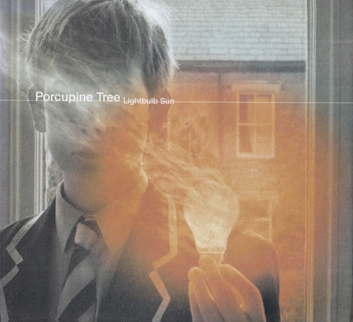 Porcupine tree lightbulb - porcupine, –