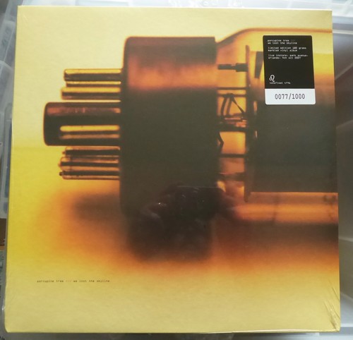 Porcupine tree lost - we,