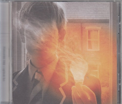 Porcupine tree lightbulb - porcupine, "lightbulb