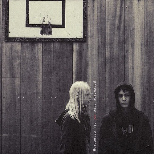 Porcupine tree nil - porcupine,